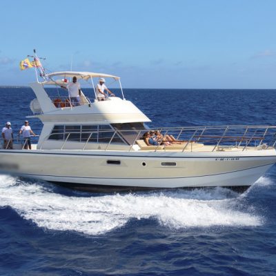 			 - Group Boat Charter Experience in Tenerife South