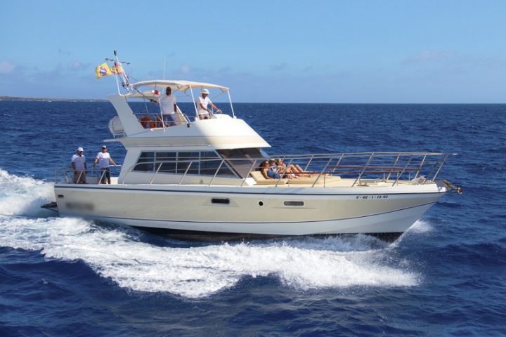 Group Boat Charter Experience in Tenerife South - 118  