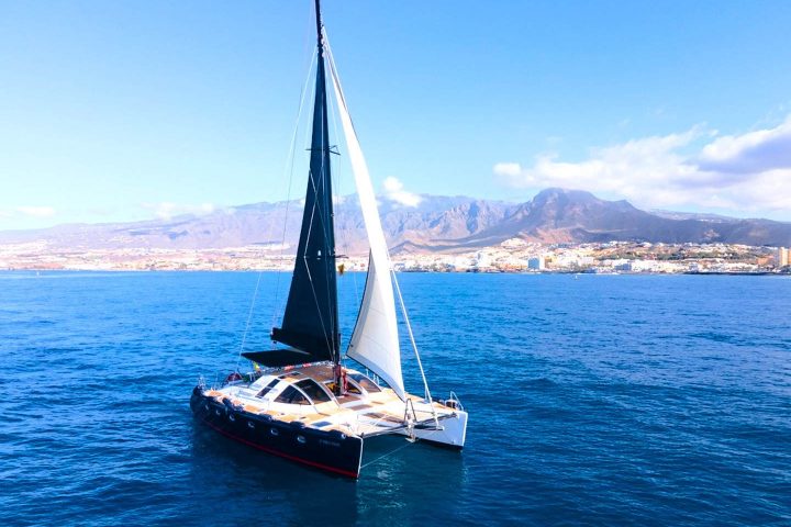 Catamaran Kennex : Location de catamaran à Tenerife - 110  