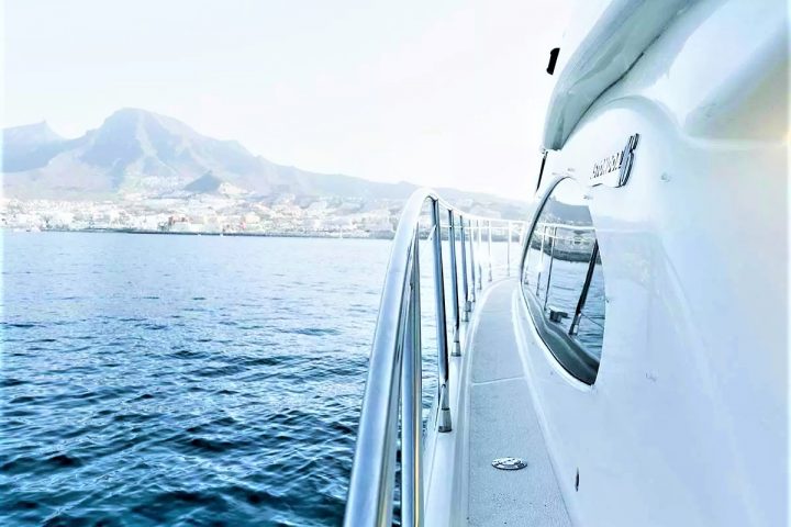 Experience VIP Luxury on Our Tenerife Astondoa 46 Motor Yacht Charter - 69  