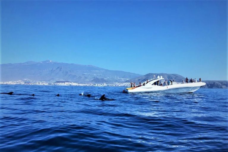 Opera 60 speed and power boat charter in tenerife